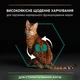 Сухой корм для взрослых стерилизованных кошек Purina Pro Plan Sterilised Adult 1+ Renal Plus с индейкой 14 кг - изображение 5