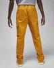 Брюки мужские Jordan Essentials Utility Pants L Жовтий DQ7342-712 - изображение 2