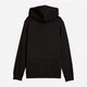 Детское худи для мальчика Puma Essentials Graphics 68514801 134-140 см Black (4067983647703) - изображение 6