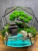 Флорариум Япония 30х30 см - изображение 3
