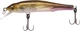 Воблер Megabass X-70 SP 71 мм 5.6 г M Wakasagi (26594045) - зображення 1