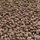 Солод Viking Chateau Wheat Black пшеничный 1 кг - изображение 3