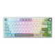 Клавиатура механическая проводная RK ROYAL KLUDGE R75 с RGB-подсветкой и поддержкой HOT-SWAP Green + Гравировка ENG\UA\RU - изображение 1