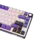 Клавиатура механическая проводная RK ROYAL KLUDGE R75 с RGB-подсветкой и поддержкой HOT-SWAP Purple + Гравировка ENG\UA\RU - изображение 4