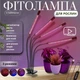 Фитолампа для растений на 4 ветки светодиодная LED с таймером USB 20Вт, настольная лампа для роста и цветения, комнатных и тепличных растений с клипсой-зажимом и USB питанием, красный, фиолетовый и синий свет Черная LP-418 - изображение 1