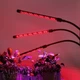 Фитолампа для растений тройная светодиодная LED с таймером 15Вт, настольная лампа для роста и цветения комнатных и тепличных растений на 3 ветки с клипсой-зажимом и USB питанием, красный, синий, фиолетовый свет Черная F-33 - изображение 3