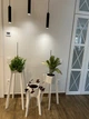 Комплект підставок для вазонів WoodDecor з дерева Білий - зображення 1