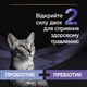 Пробіотик для котів та кошенят для підтримки нормальної мікрофлори кишечника Purina Pro Plan FortiFlora Plus 1,5 г 30 шт (80987) - зображення 3