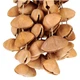 Шейкер Terre Seed Shaker XXL Cha Cha Nut - изображение 2