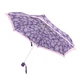 Зонт Fulton L926 Curio-2 UV Sketchy Rose (L926-039991) - изображение 4