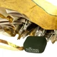 Парасоля Fulton National Gallery Tiny-2 L794 Sunflowers (L794-031889) - зображення 4