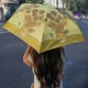 Парасоля Fulton National Gallery Tiny-2 L794 Sunflowers (L794-031889) - зображення 8