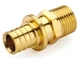 Муфта с наружной резьбой General Fittings 25х3,5-3/4 - изображение 3