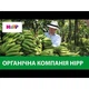Детское пюре HiPP Яблоки с бананами и печеньем Фрукты и злаки, 190 г (9062300132479) - изображение 2