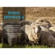 Водонепроникні шкарпетки Dexshell Terrain Walking 2.0 Socks чорно-сірі розмір S (36-38) (DS62406JBG-S) - зображення 6