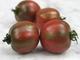 Семена Томат Вернисаж, 0,1 г (GL Seeds) - изображение 4