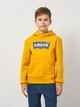Дитяче тепле худі для хлопчика Levi`s Lvb Batwing Screenprint Hoodie 8E8778-N7J 104 см Жовте (3666643105013) - зображення 1
