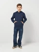 Детское худи для мальчика Levi`s Lvb Mini Batwing Hoodie 9EL452-C8D 134-140 см Нави (3666643114299) - изображение 3