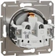 Розетка Schneider Electric Asfora с заземлением Алюминий (EPH2900161) - изображение 5