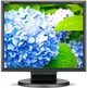 Монитор NEC 17" E172M Black (60005020) - изображение 1