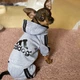 Костюм спортивный для собак Adidog Серый S - изображение 2