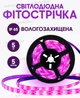 Світлодіодна Led фітострічка для росту кімнатних рослин SMD 2835 фітолампа 12V Elite Lux діодна лед фіто стрічка повний спектр 5 метрів - зображення 1