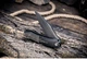 Нож складной Weknife Sine Wave WE23069B-3 - изображение 16