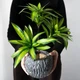 Декоративна штучна квітка - драцена Dracaena тропічна пальма - рослина для декору будинку / саду / офісу, 3 гілки, 36 см, зелена (99938310) - зображення 6
