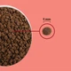 Сухой корм для взрослых котов ACANA Highest Protein Indoor Cat 4.5 кг (a72398) - изображение 5