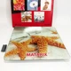Весы для измерения массы тела напольные MATARIX MX-452 до 180 кг LED-дисплей - изображение 3