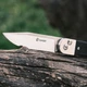 Нож складной Ganzo G767 Black - изображение 9