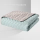 Покрывало Sei Design Warmis Мятно-серое Евро 220х240 см Двустороннее Микрофибра (4820227288588) - изображение 2