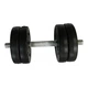 Гантель композитная Newt NE-PL-R-006 D, Rock Pro-R, 6 кг (NE-PL-R-006-RT) - изображение 1