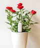 Inteligentny monitor roślin Xiaomi Mi Flora Flower Plant Sensor (YTC4008RT) - obraz 3