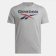 Футболка хлопковая длинная мужская Reebok Identity Big Logo Tee 100217137 2XL Серая (1200161476662) - изображение 4