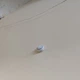 Wifi датчик диму Tuya Smoke Detector з сиреною та оповіщенням на смартфон - зображення 12