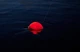 Накладка для ночной рыбалки DEEPER Night Fishing Cover - изображение 7