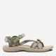 Женские сандалии Jack Wolfskin Lakewood Ride Sandal W 4019041-4030 39.5 (6UK) 24.6 см Бежевые (4064886444866) - изображение 1