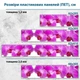Фото панель универсальная ПЭТ, Самофиксирующаяся, 62 х 410 см (толщина 1.2 мм), орхидеи розовые(ПЭТ4-s_fl11611) - изображение 2