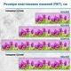 Фото панель универсальная ПЭТ, Самофиксирующаяся, 62 х 410 см (толщина 1.2 мм), тюльпаны(ПЭТ4-s_fl11690) - изображение 3