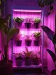 Светодиодная фитолента для комнатных растений от USB Полный спектр от GrowLight 1 метр - изображение 4