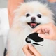 Колтунорез для удаления колтунов у кошек и собак Pet Comb расческа с лезвием для вычесывания шерсти и груминга домашних животных, черный (100540969) - изображение 3