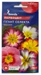 Насіння квітів Першоцвіт Гігант Селекту 0,1г, GL Seeds - зображення 1