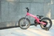 Велосипед-беговел Qplay Miniby 3в1 Pink (CB01MiniByPink) - изображение 2