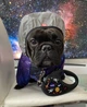 Поводок-рулетка WAUDOG с рисунком "NASA", размер S, для собак до 15 кг, 5 м&nbsp; (8124-0047-01) - изображение 12