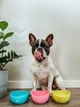Миска WAUDOG Silicone, 250 мл, для котів та дрібних порід собак, рожева (50817) - зображення 6
