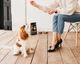 Корм сухий Savory Puppy Fresh Turkey and Chicken індичка та курка для цуценят 1кг арт.30280 - зображення 5