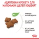 Корм для стерилізованих котят ROYAL CANIN KITTEN STERILISED 2 кг - зображення 6