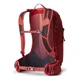Рюкзак Gregory Biosync-Miko 20 л Red (1053-145275/9973) - изображение 2