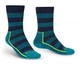 Шкарпетки Bridgedale Hike LW Merino Performance Boot L Petrol/Navy (1053-710281.282.L) - зображення 1
